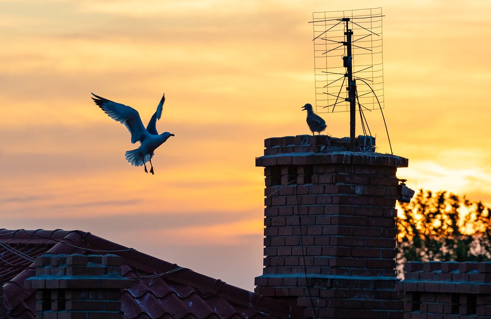 Photograph by Андрей Котенко