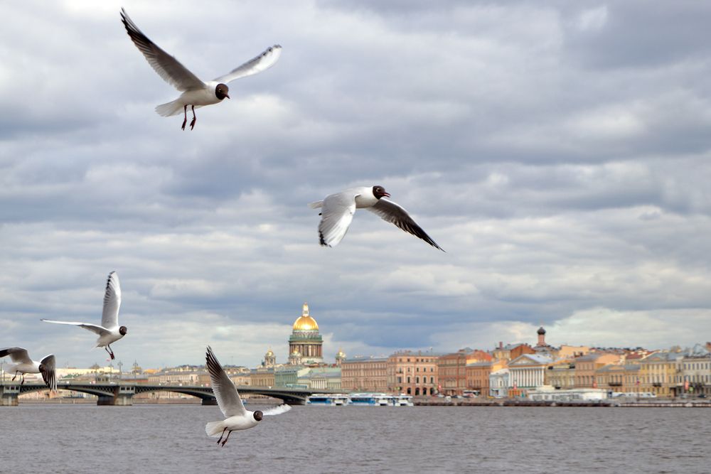 Photograph by Светлана Долотова