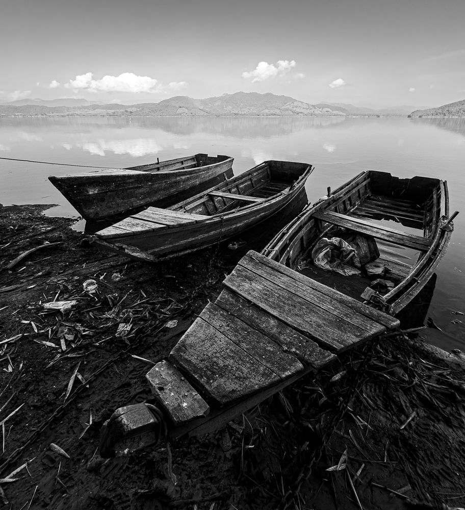 Photograph by Eddy Vittini