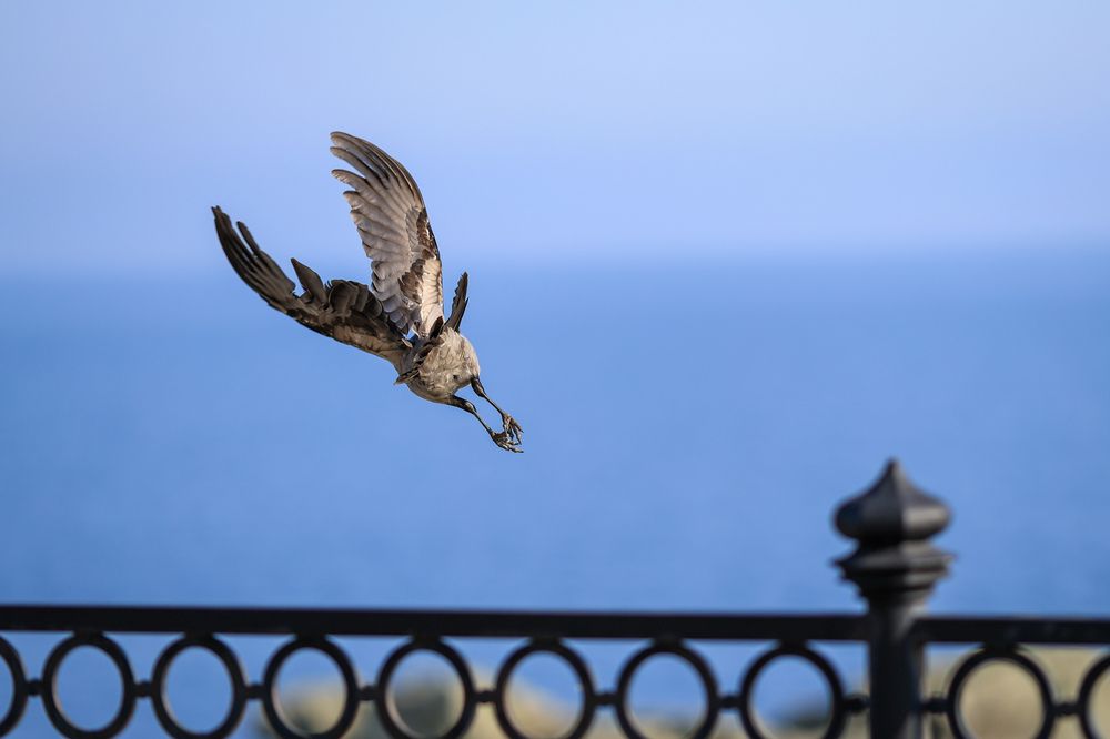 Photograph by Андрей Котенко