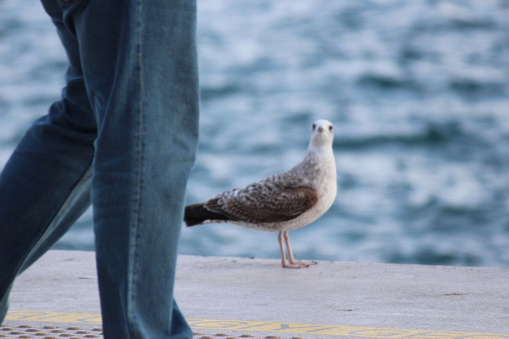 Photograph by Илья Смирнов