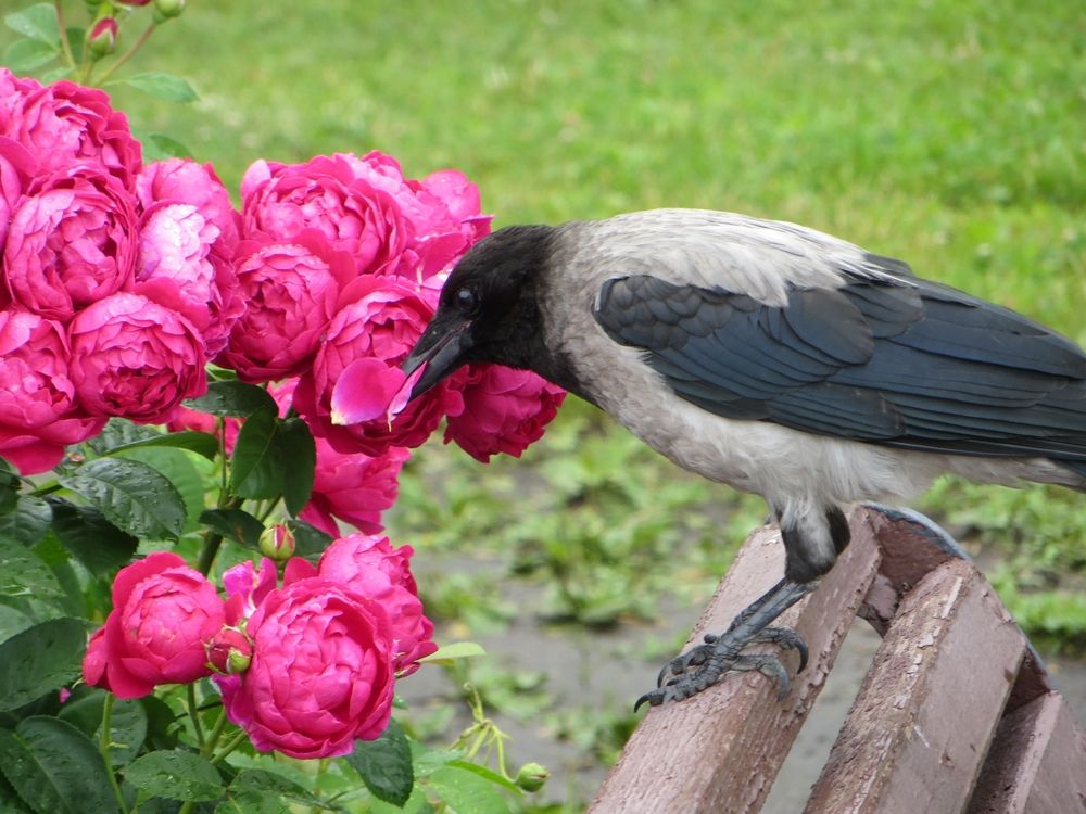 Photograph by Екатерина Салий