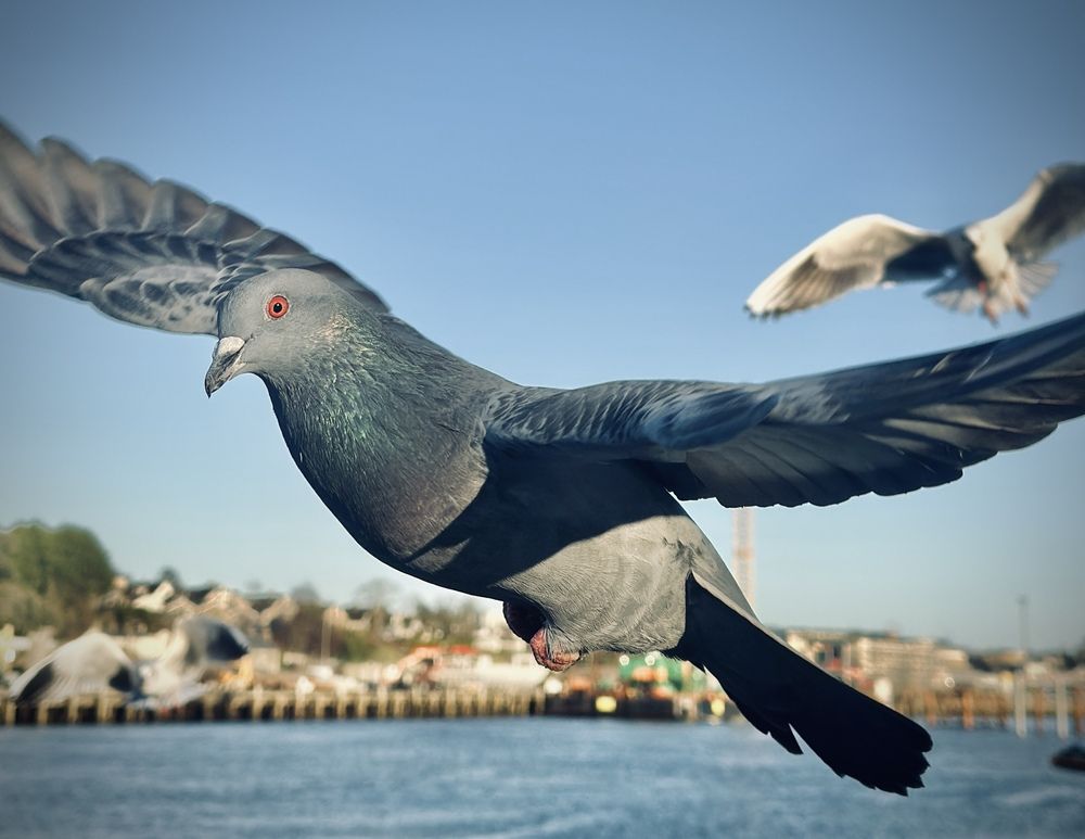 Photograph by Kateryna Tytar