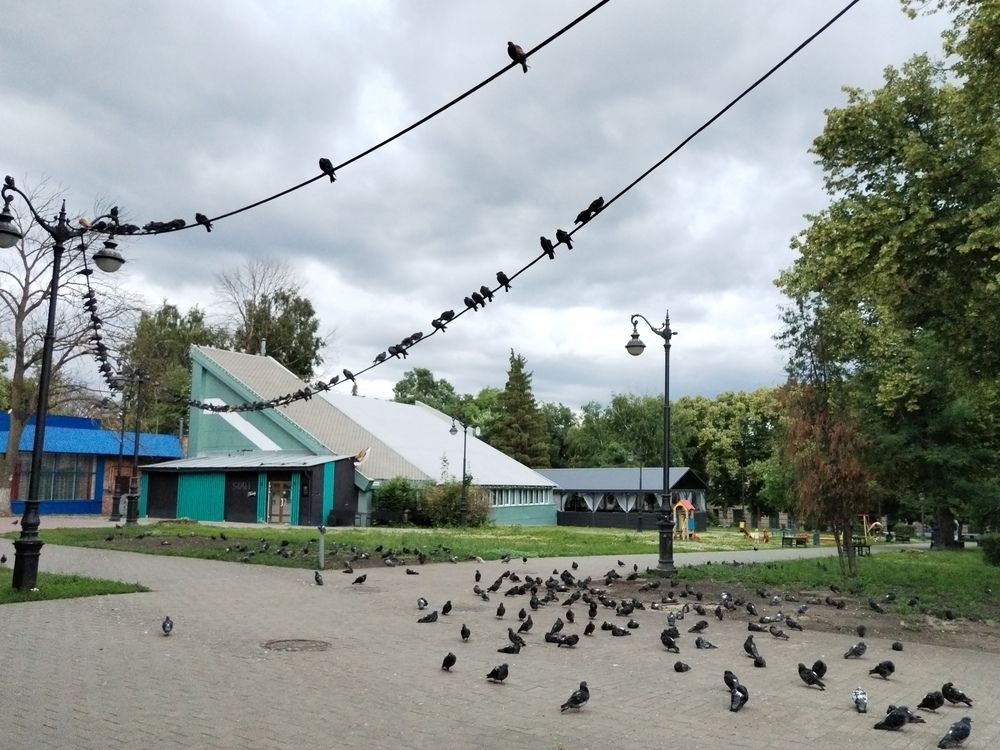 Photograph by Ирина Филиппова