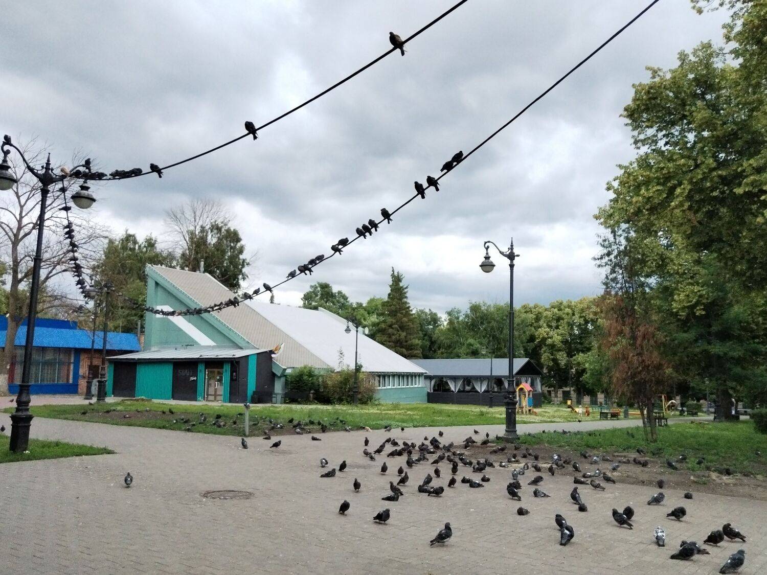 Photo #13716030