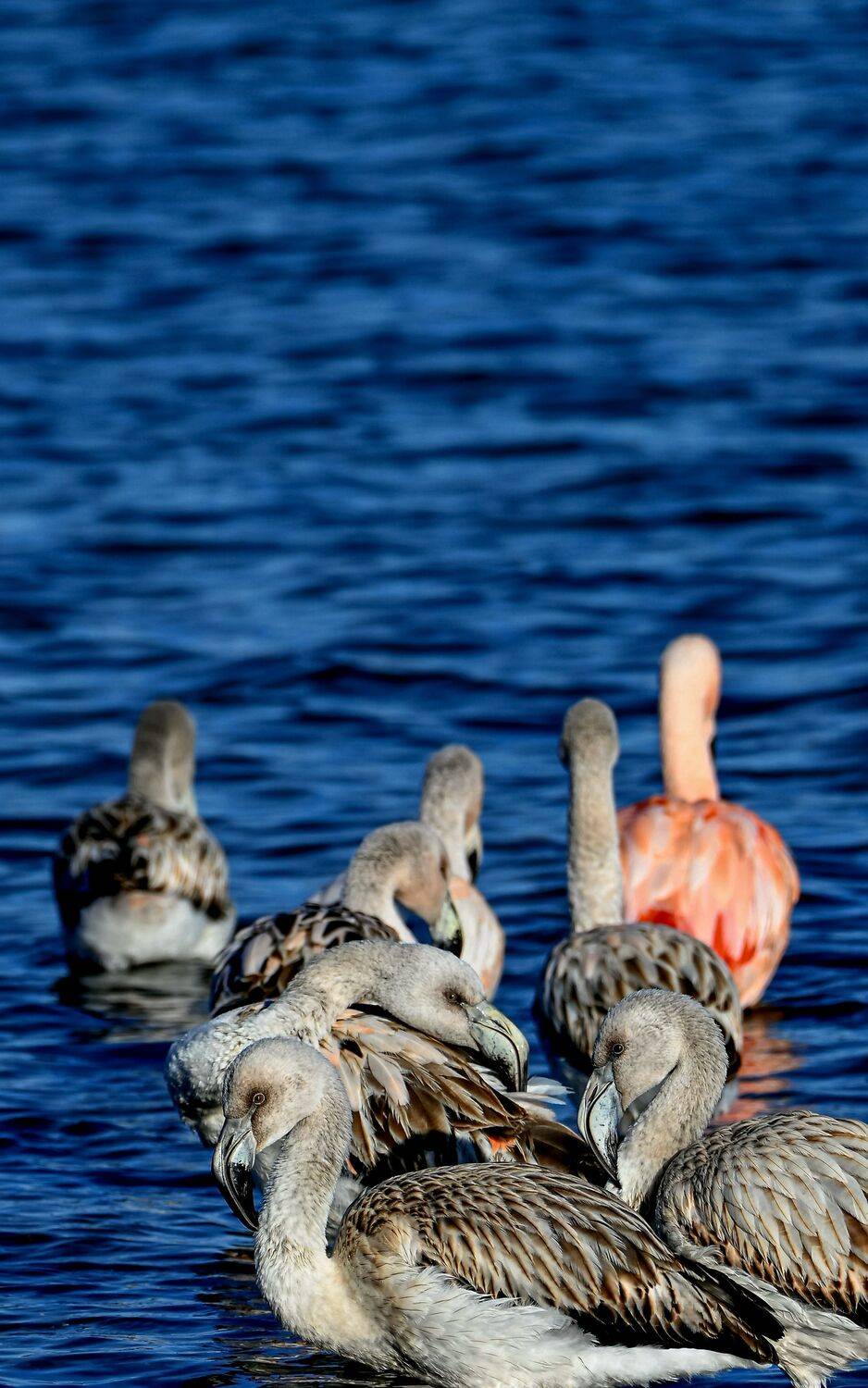Morning Gathering — Puerto Madryn