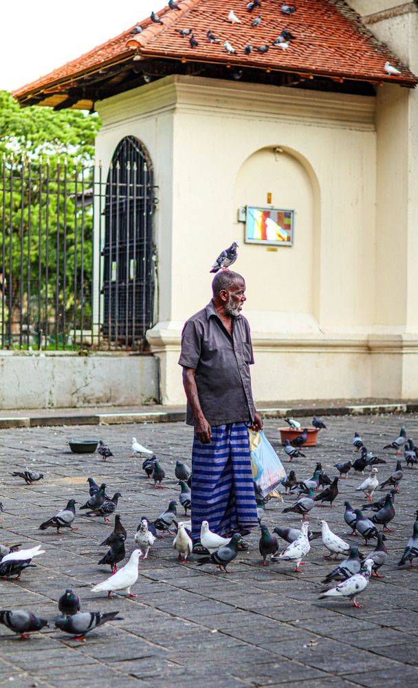 Photograph by K.G.Supun Nayanajith Samaraweera Nayanajith