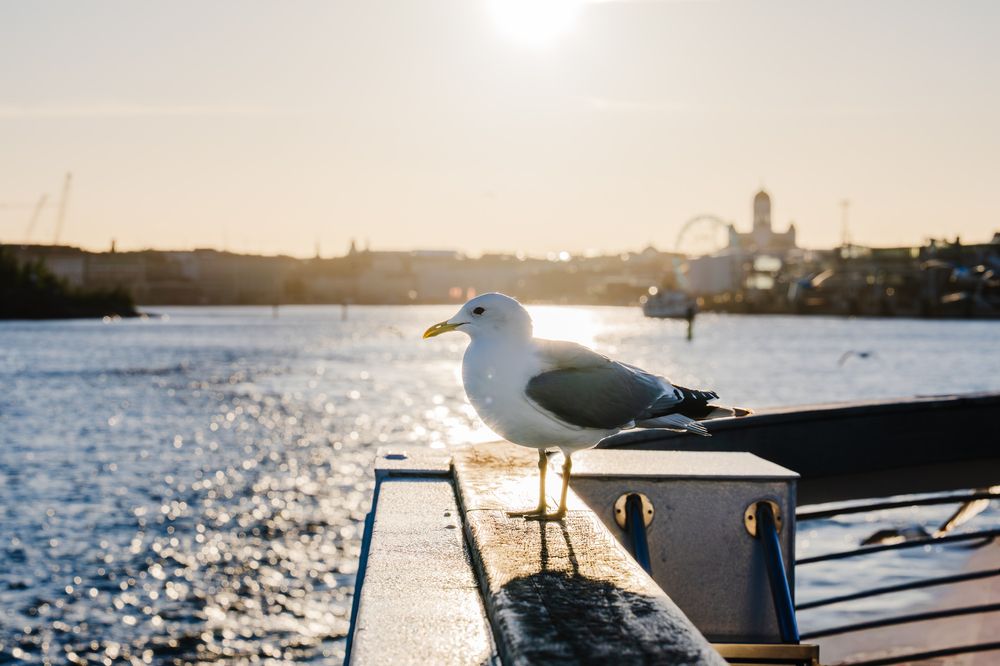 Photograph by Anastasiia Akh