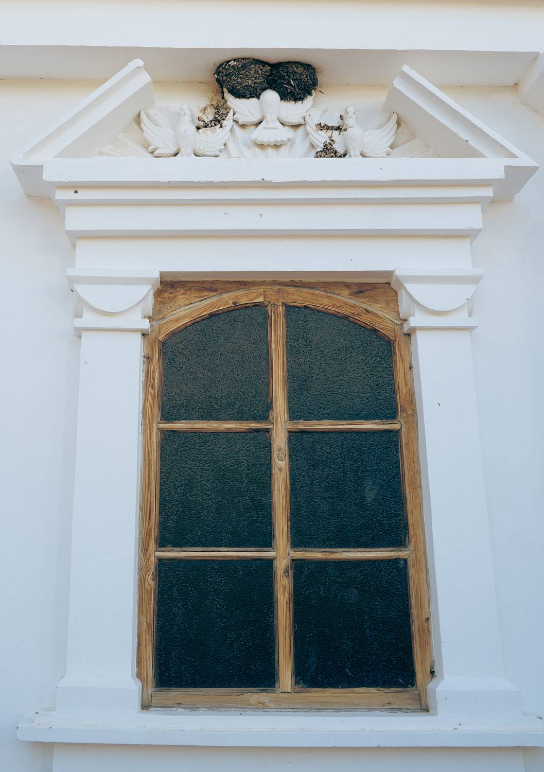 Photo #13716140