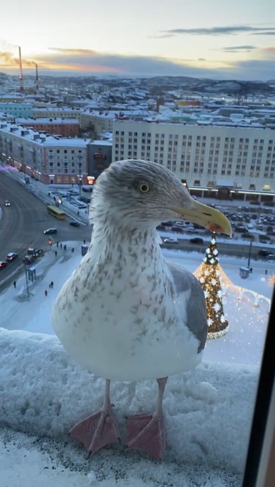 Photograph by Татьяна Двойченкова