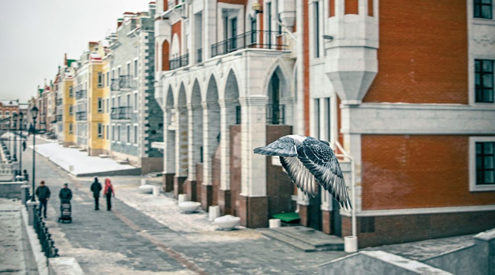 Photograph by Грипас Владимир