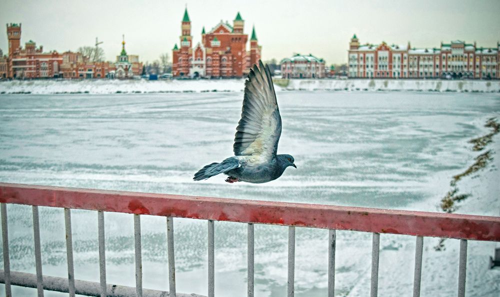 Photograph by Грипас Владимир