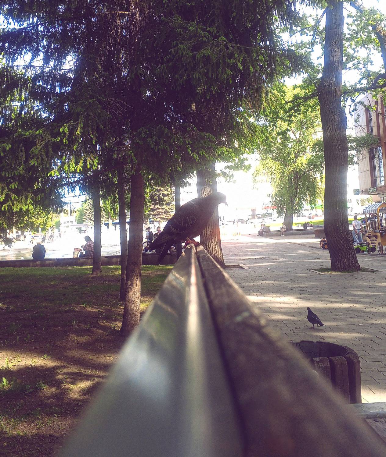 Photo #13716234
