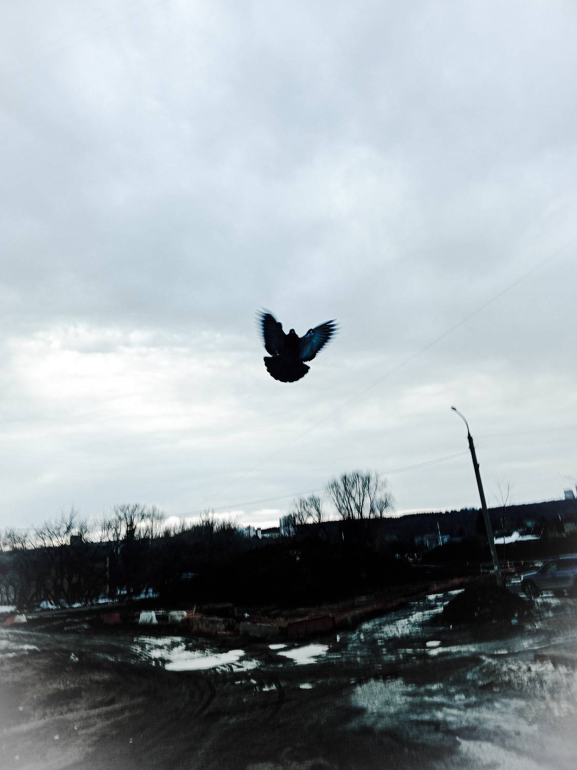Photo #13716237