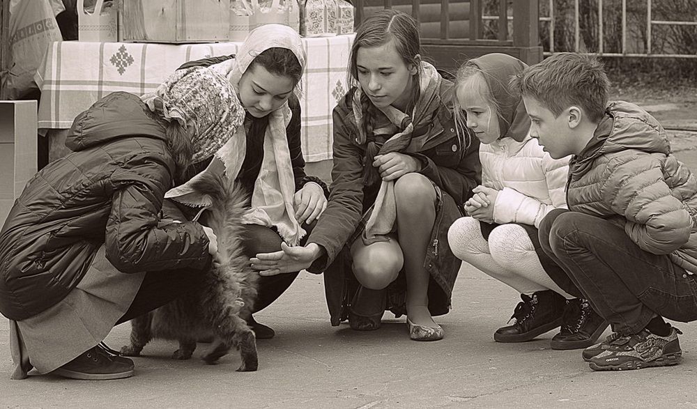 Photograph by Ерменеев Иван