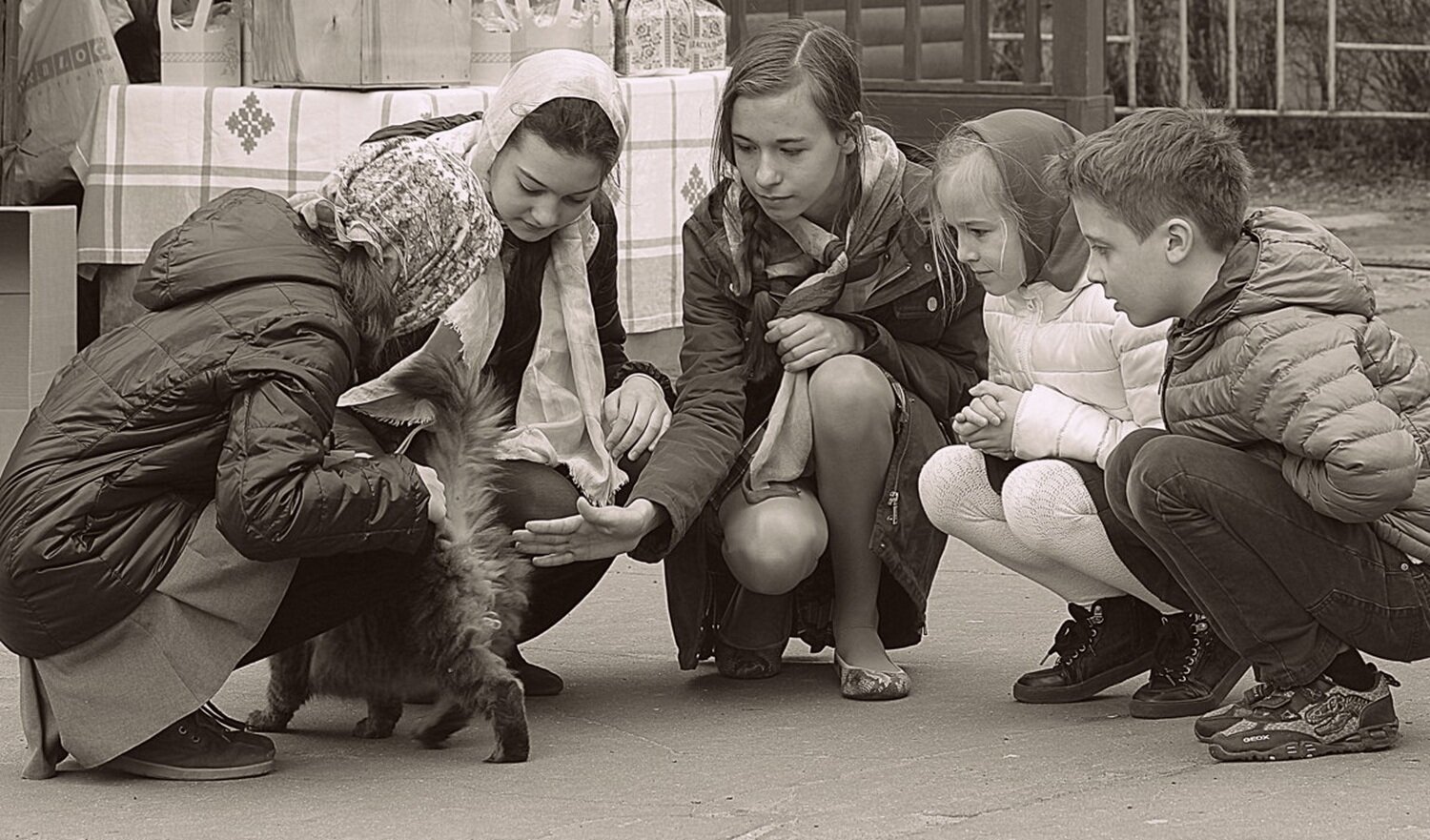 Photo #13716264