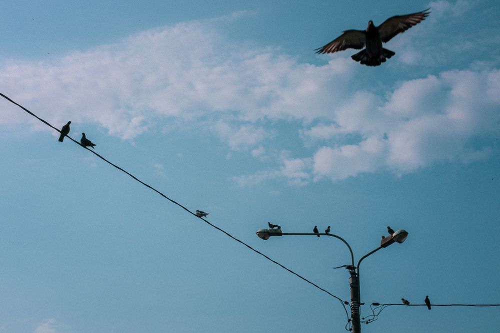 Photograph by Дмитрий Черноус