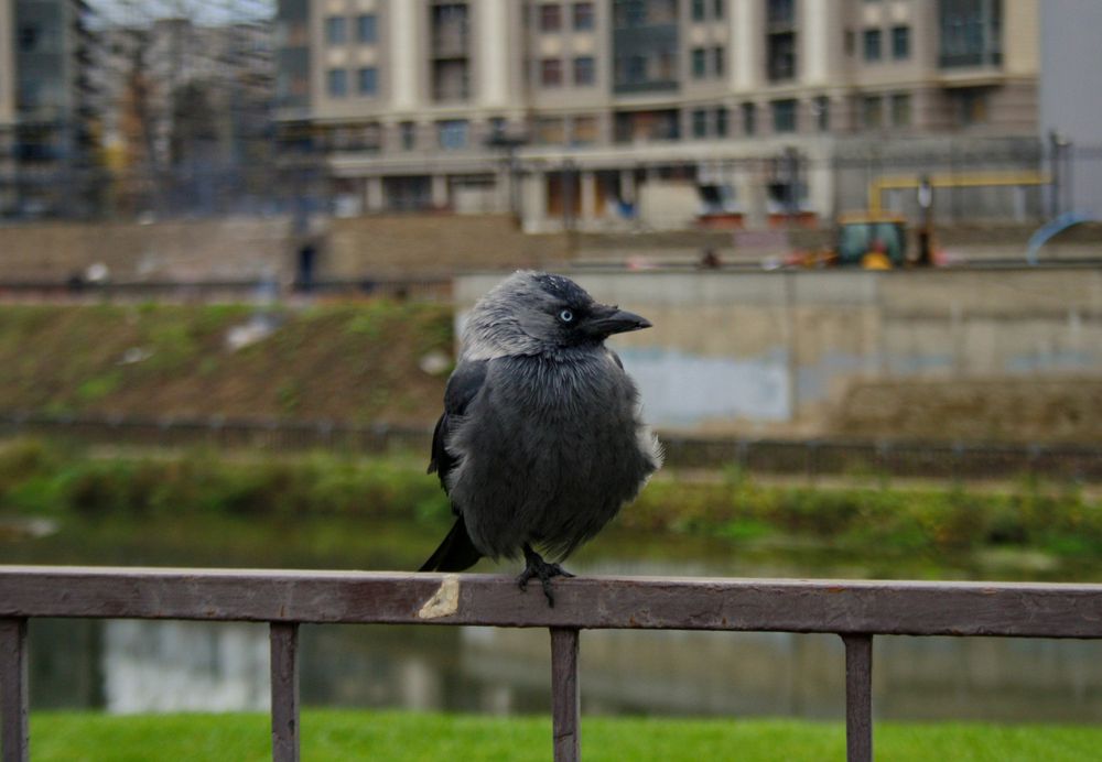 Photograph by Илья К