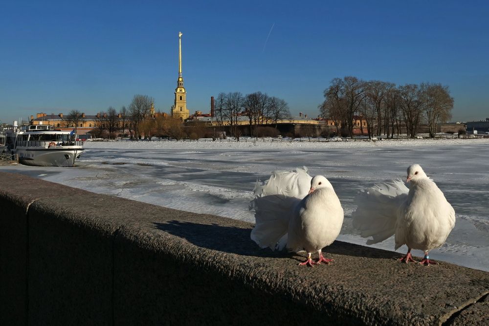 Photo #13716574