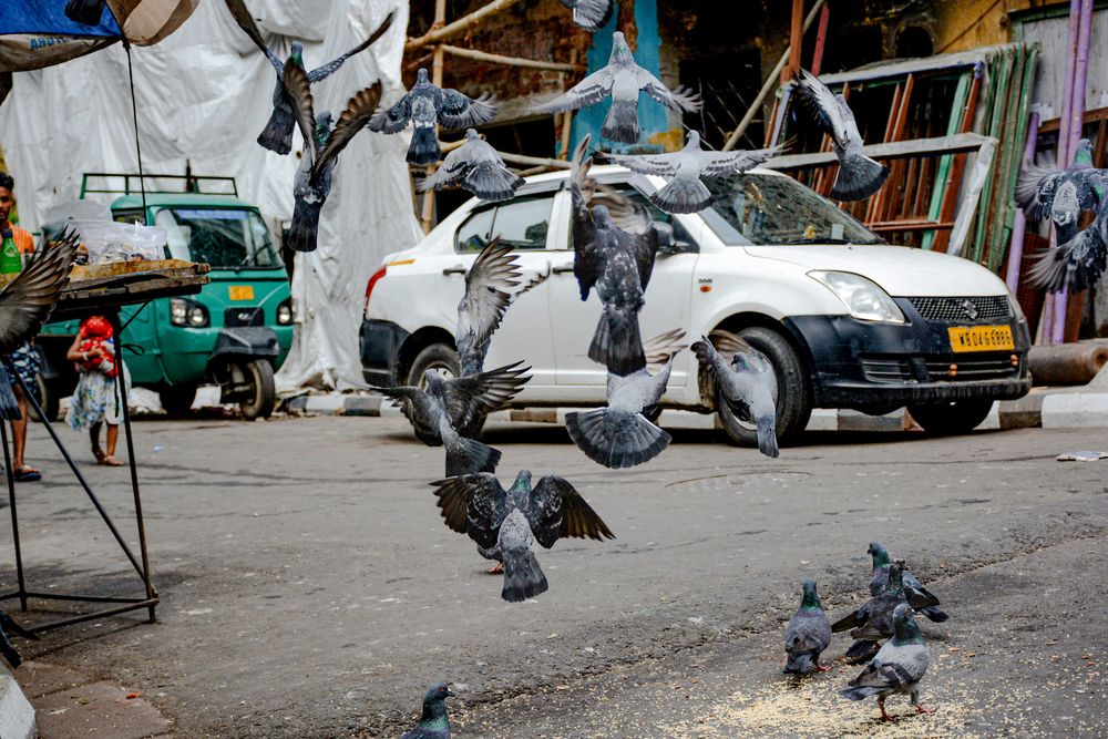 Photograph by Saikat Singha
