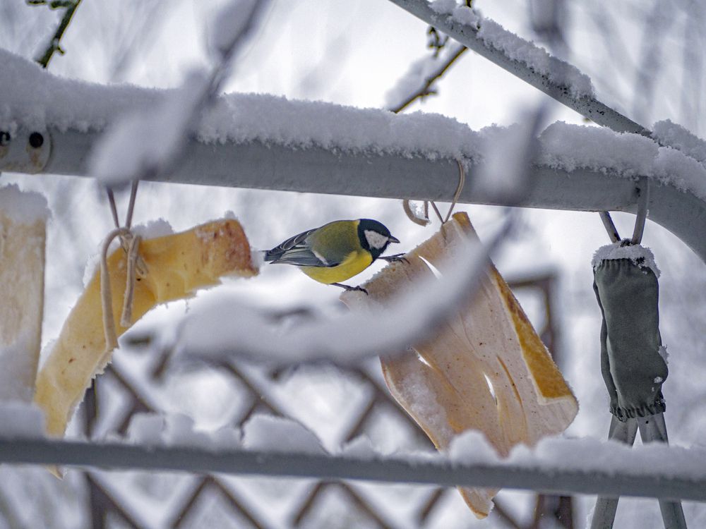 Photo #13716730