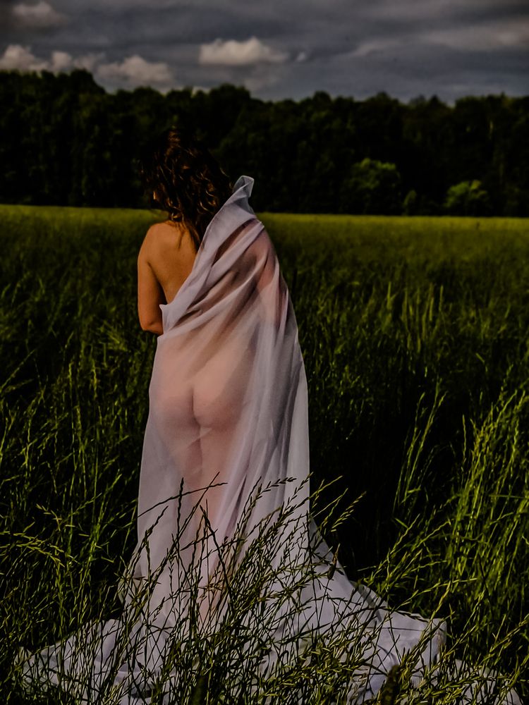 Photograph by White Dolphin