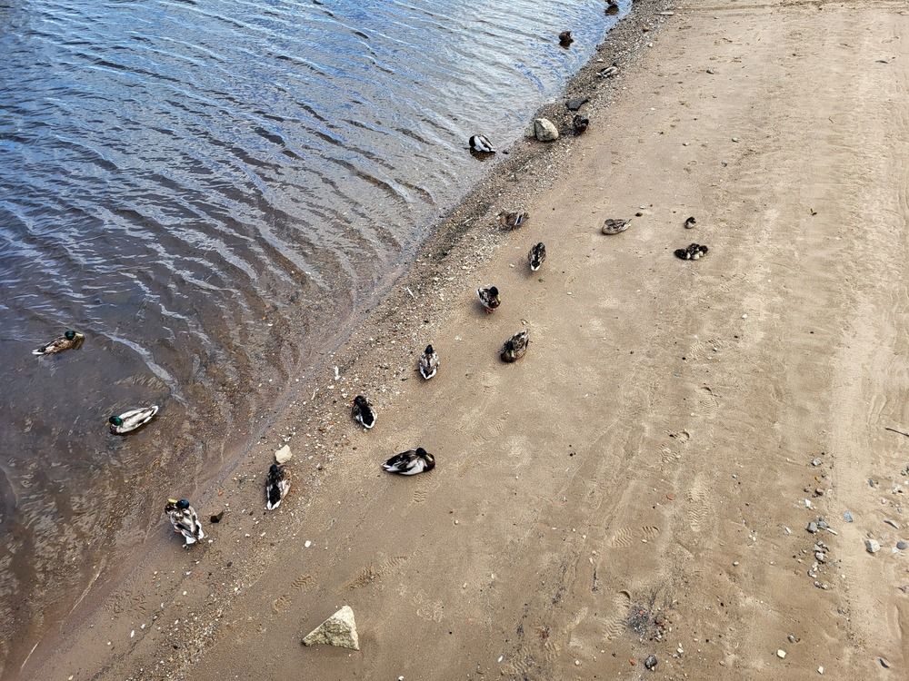 Photograph by Lubov Klepikovskaya