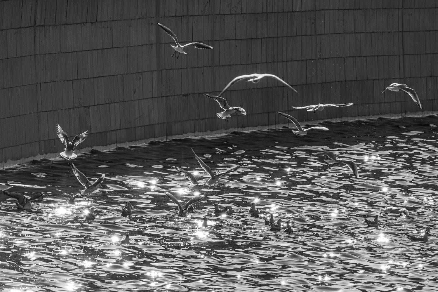 Photo #13716994