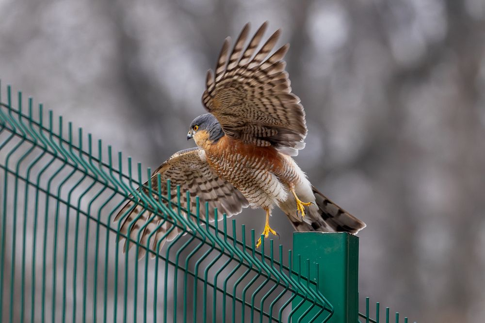 Photograph by Вера Машина