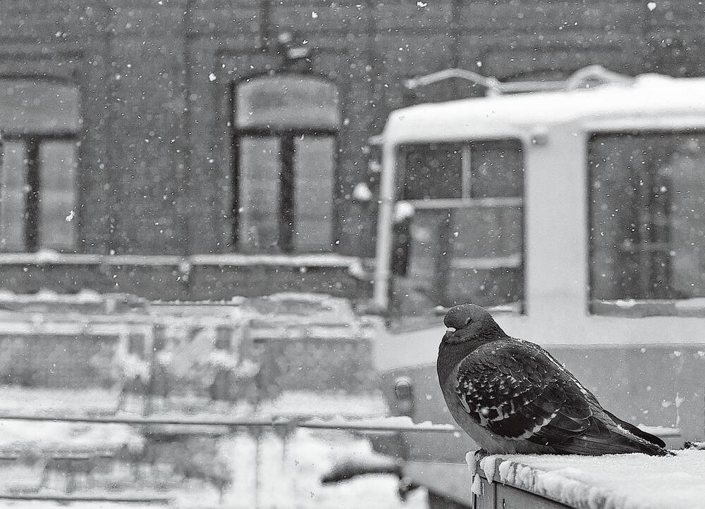 Photograph by Ирина Пинчук