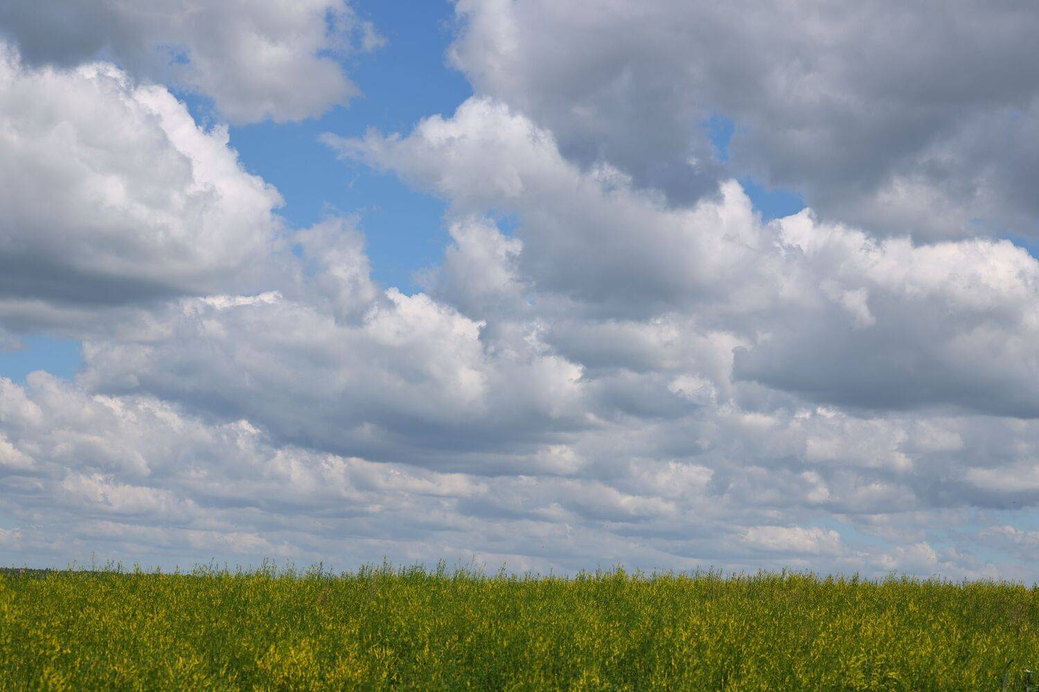 Photo #13717009