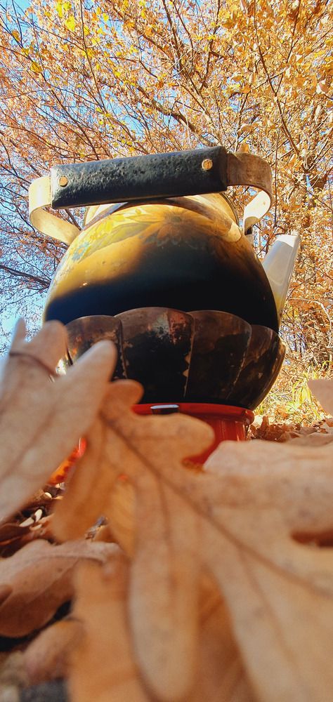 Photograph by Elena Androsova