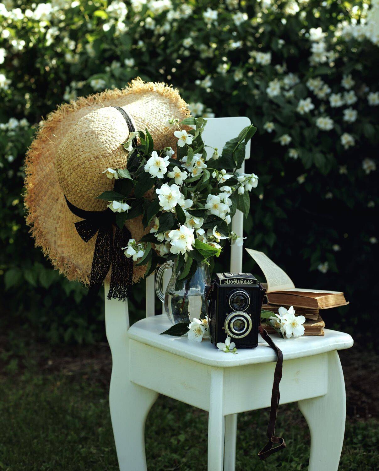Photo #13717044
