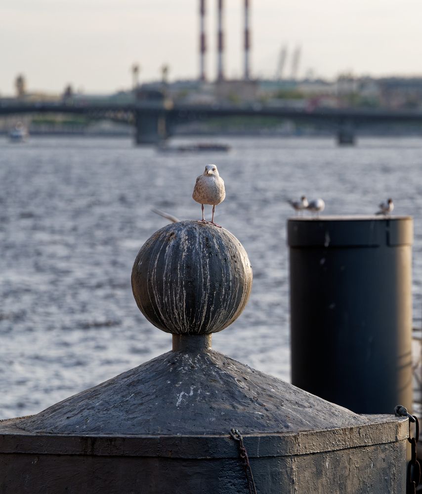 Photograph by Ян