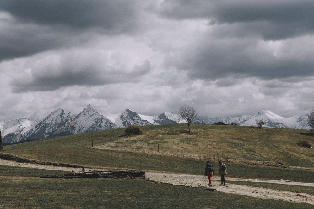 Photograph by Alex Reedson
