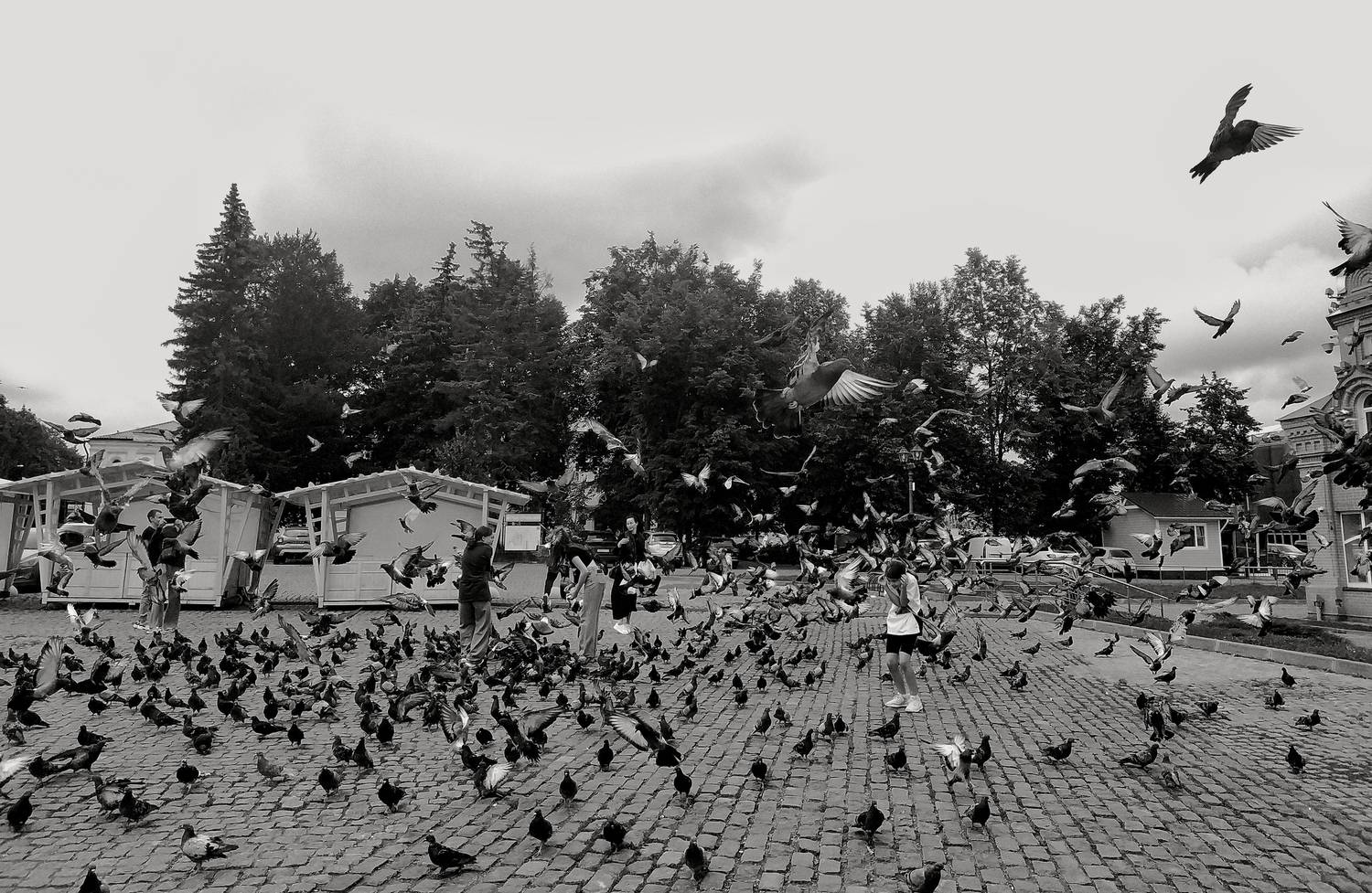 Photo #13717113