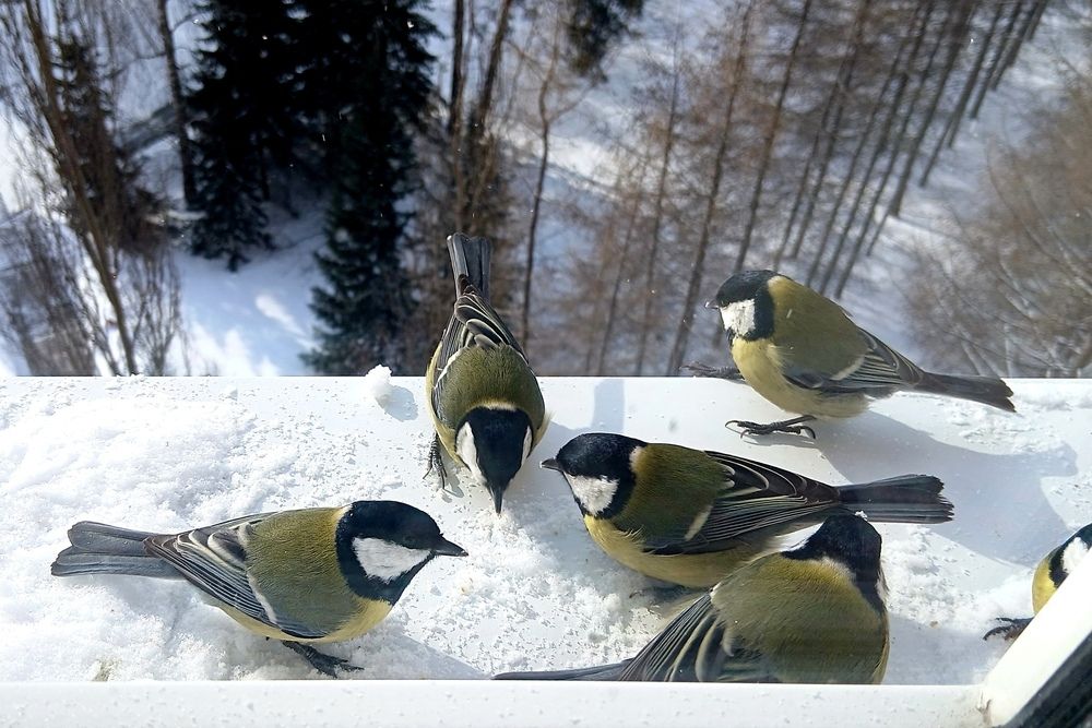 Photograph by Валентина