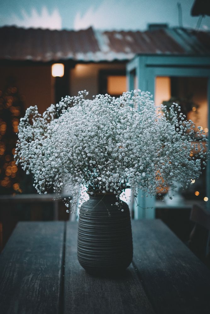 Photograph by Bùi Ngọc Hiếu