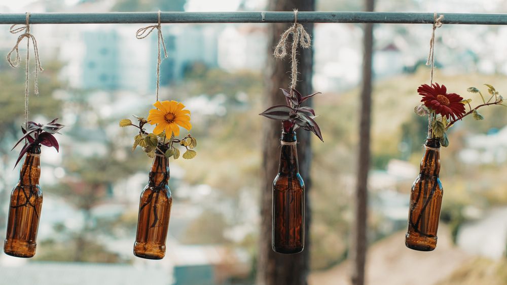 Photograph by Bùi Ngọc Hiếu