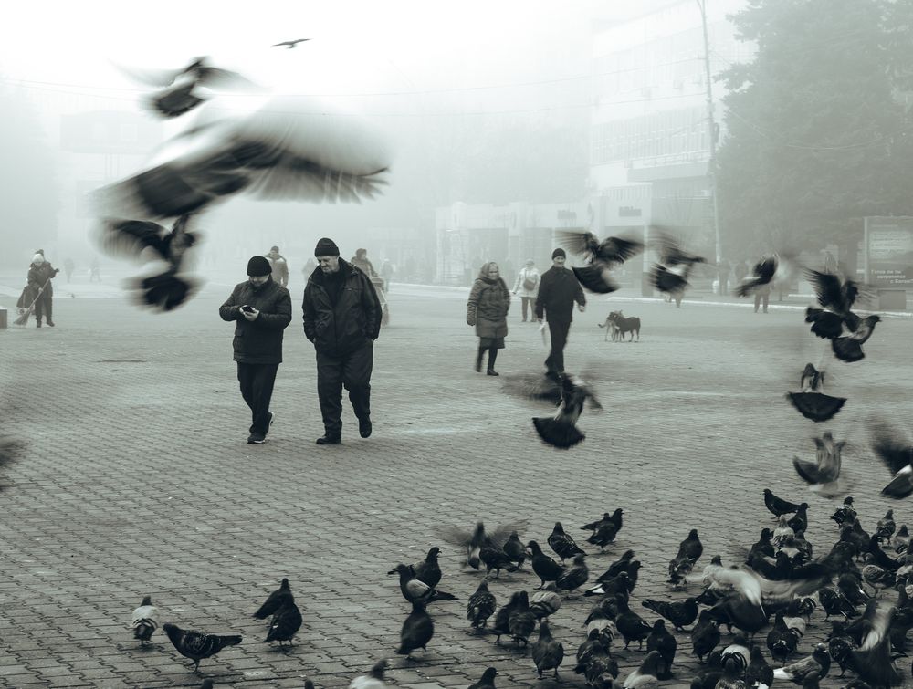 Photograph by Олег Сухенко
