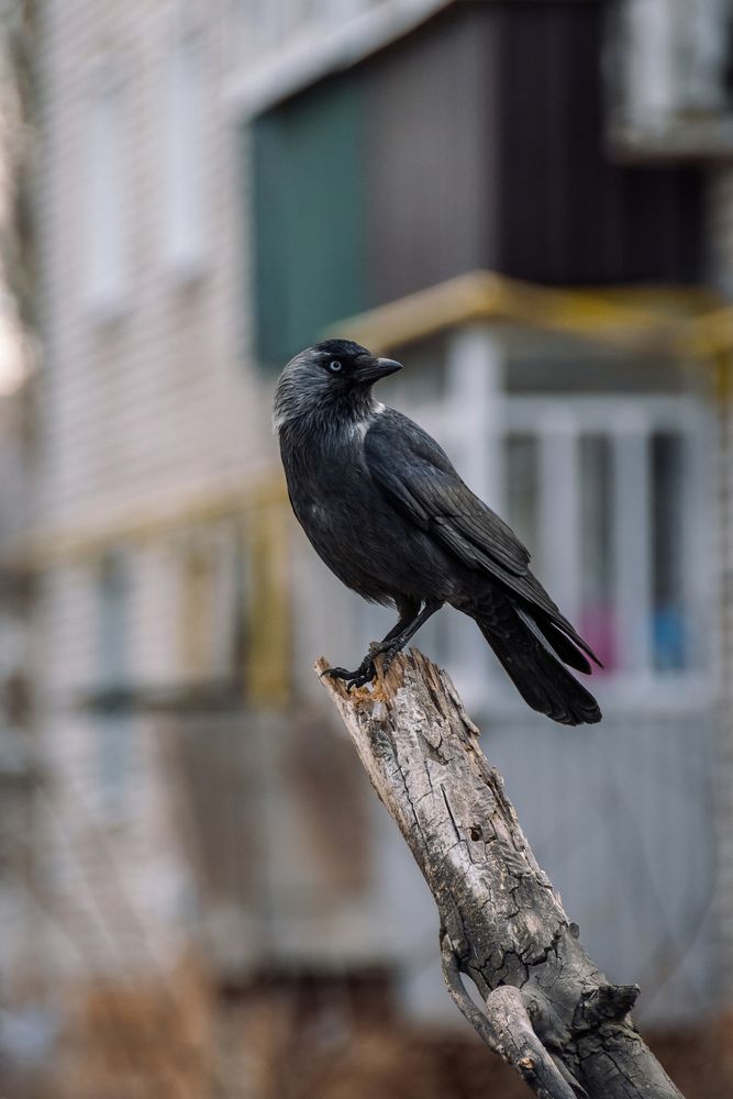 Photograph by Дмитрий Заворыкин