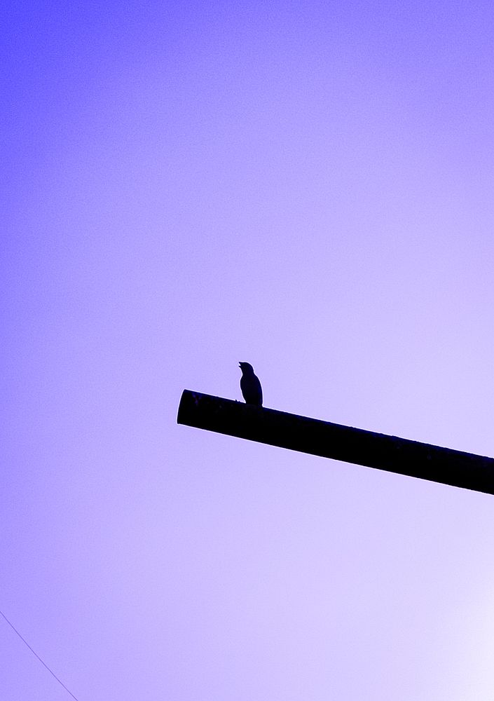 Photograph by Nada Khalifa