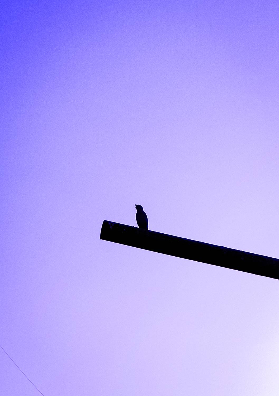 Photo #13717356