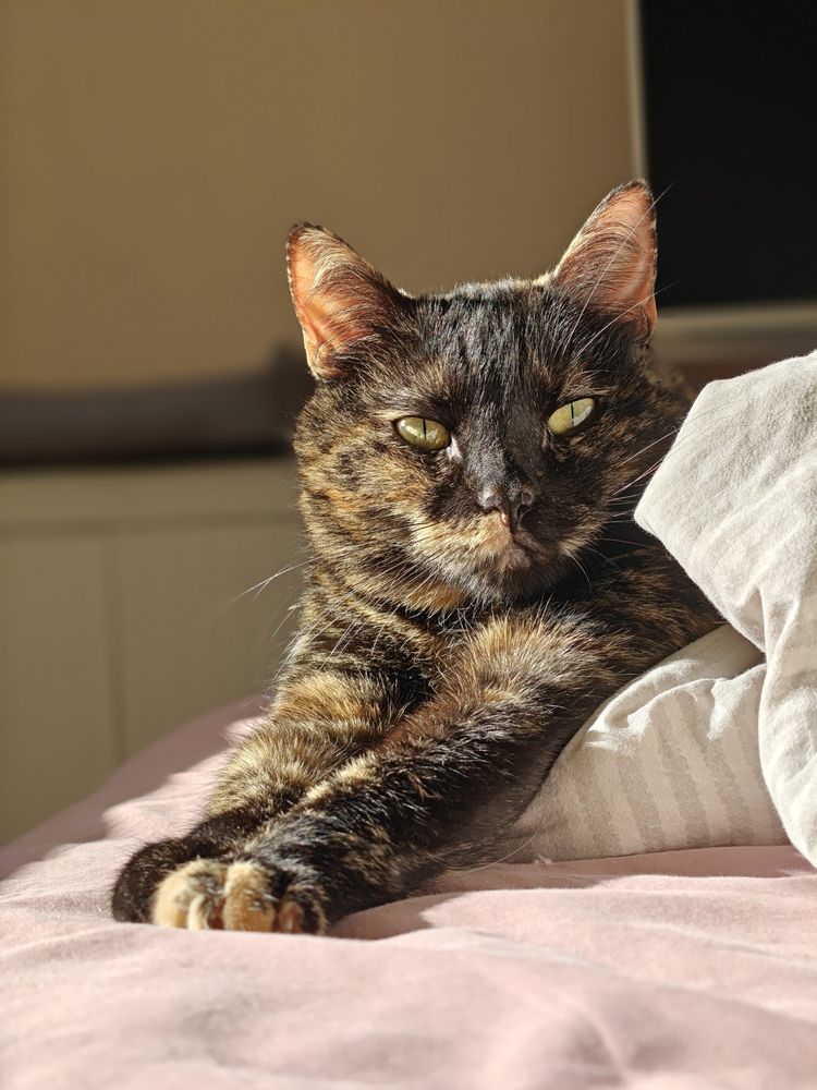 Фотография автора Марина Карасева