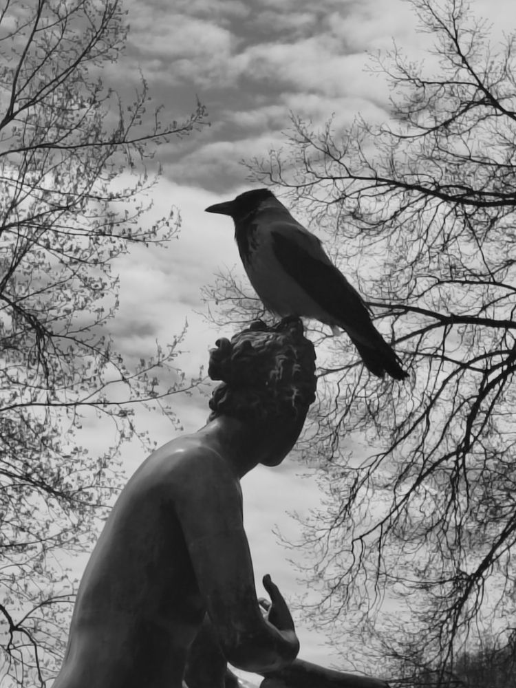 Photograph by Ольга Рыбина
