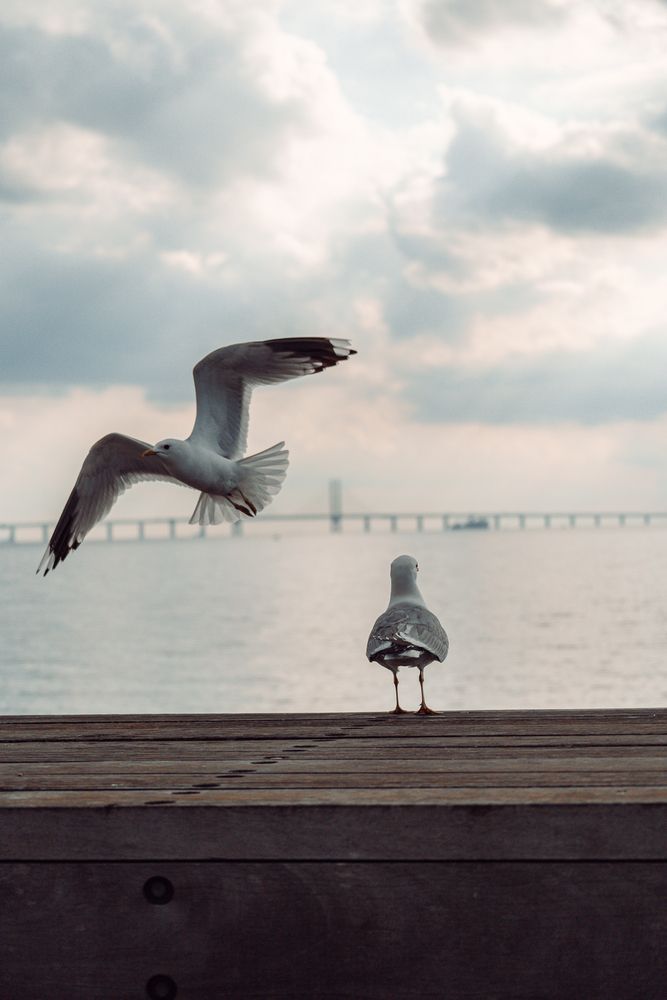 Photograph by Monika Fiba