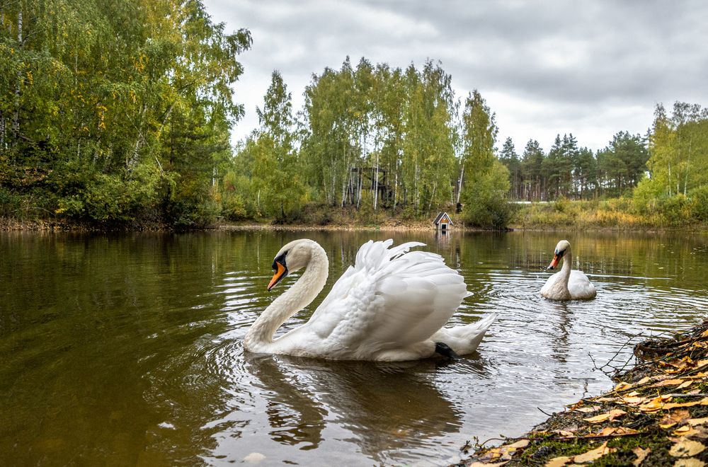 Photograph by АНДРЕЙ АБАКУМОВ