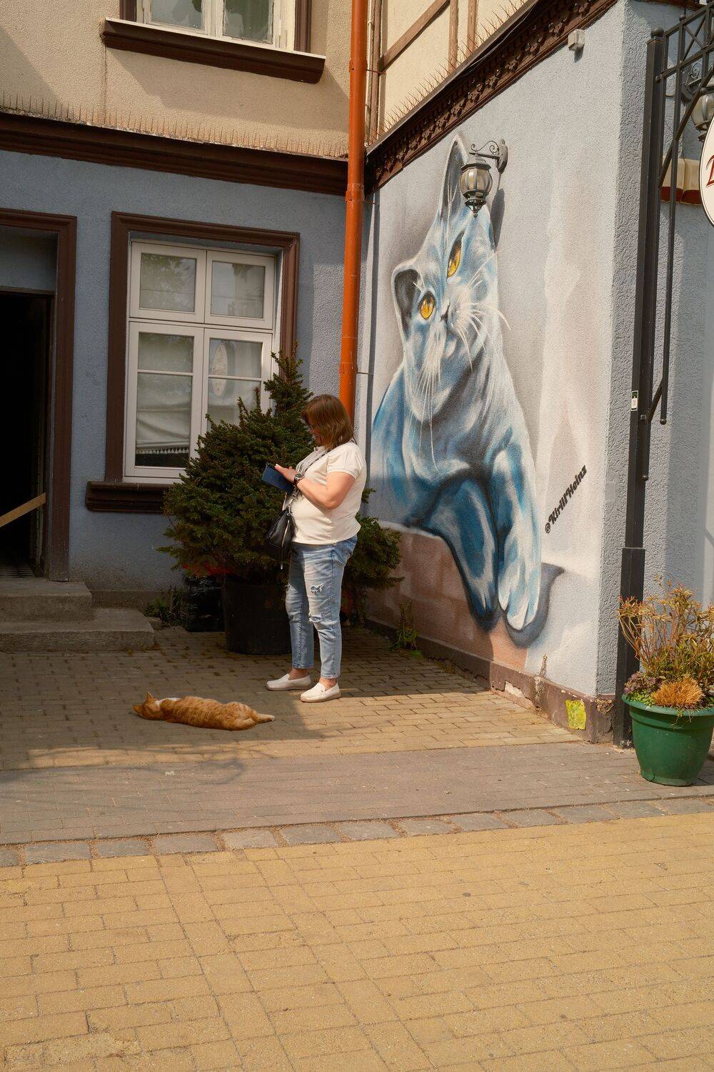 Photo #13717494