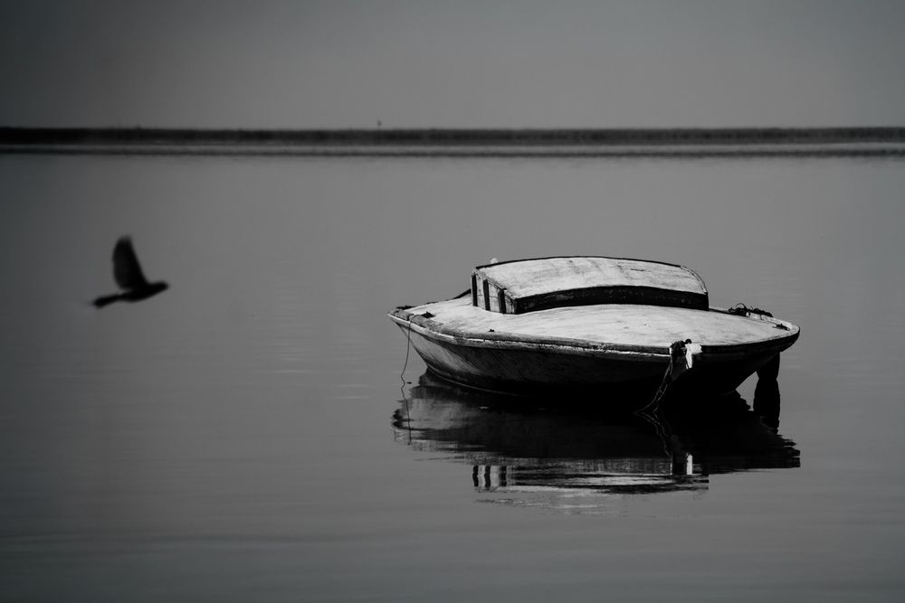 Photograph by Ahmed FahmyZa