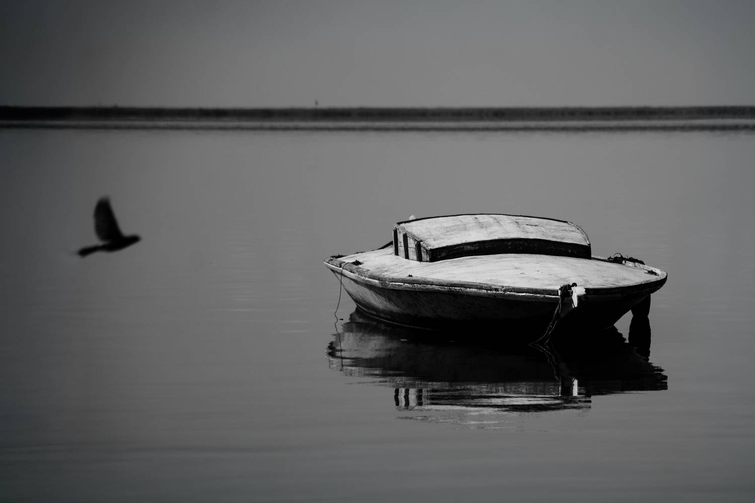 Photo #13717508